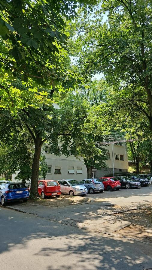 Apartmán Apartman Maja Bělehrad Exteriér fotografie