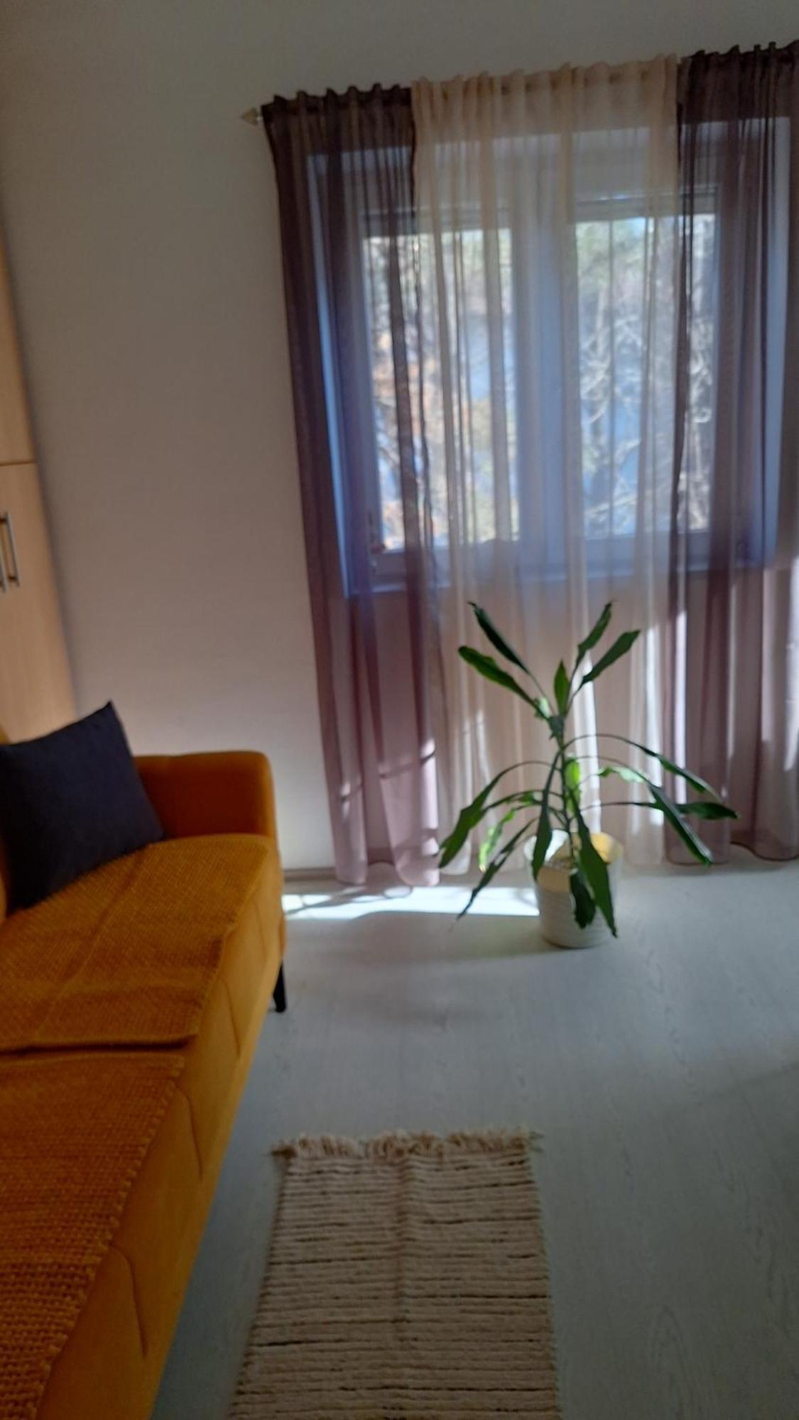 Apartmán Apartman Maja Bělehrad Exteriér fotografie