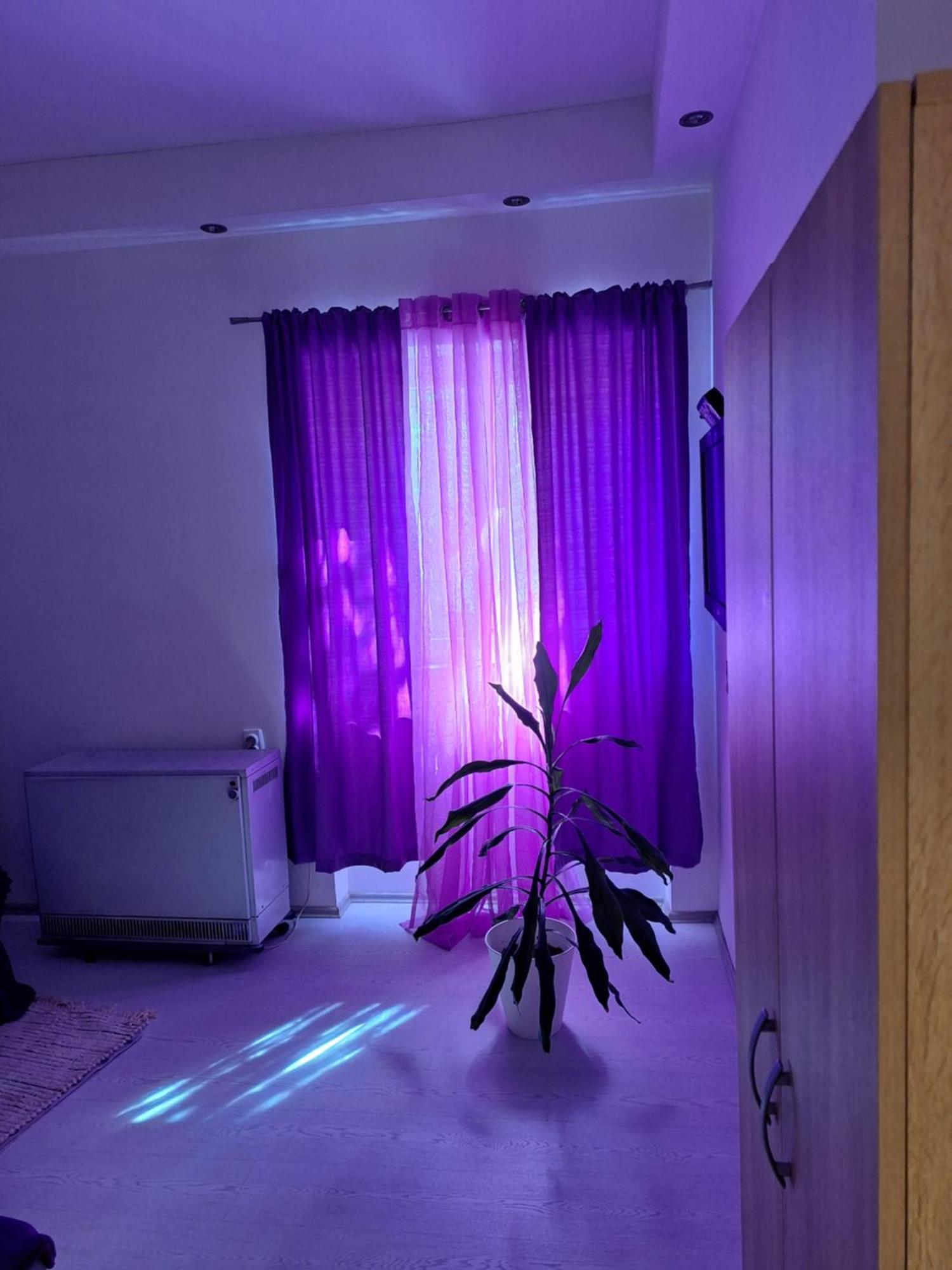 Apartmán Apartman Maja Bělehrad Exteriér fotografie